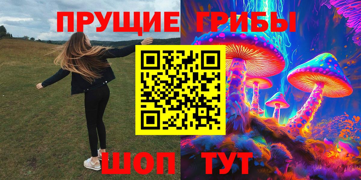 цены   Вход с VPN  Псилоцибиновые грибы мицелий  Фурманов  Псилоцибиновые грибы Psilocybe 